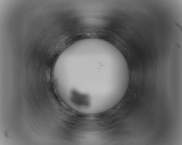 X0000103950702200809191211