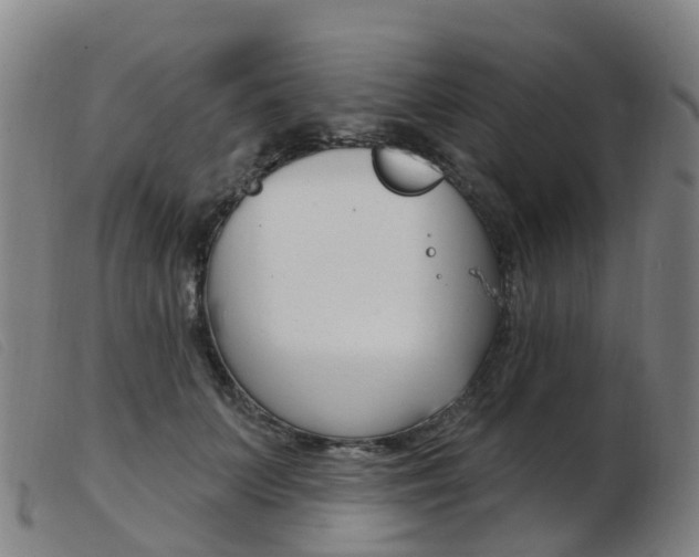 X0000103950703200809191211