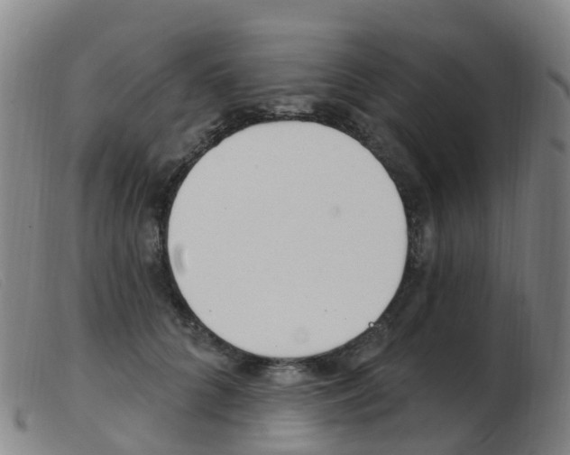 X0000103950704200809191211