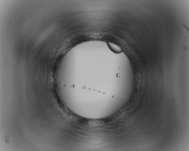 X0000103950707200809191211
