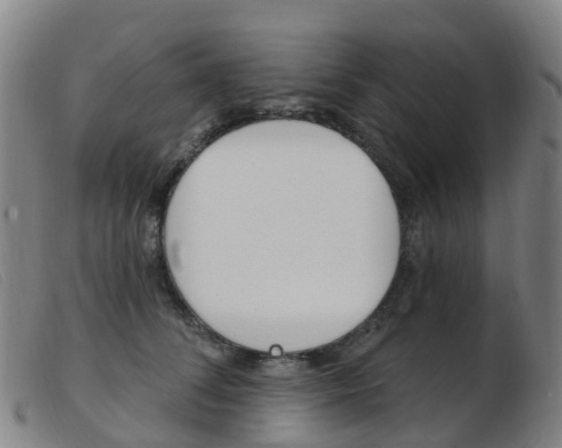X0000103950708200809191211