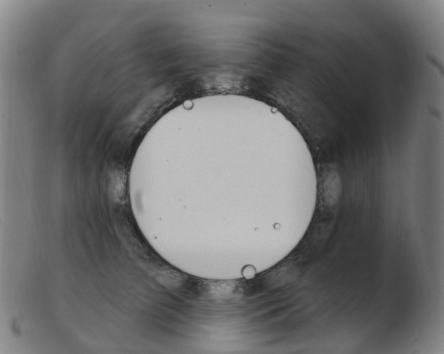 X0000103950709200809191211