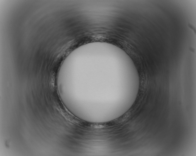 X0000103950710200809191211