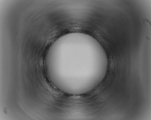 X0000103950711200809191211