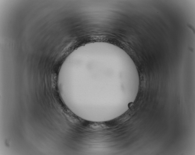 X0000103950712200809191211