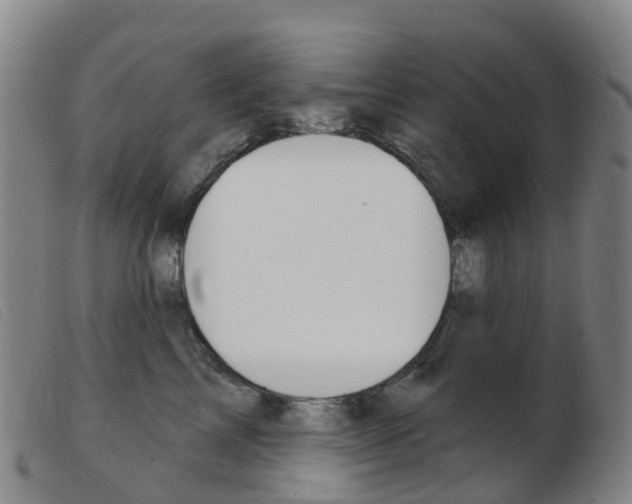 X0000103950713200809191211