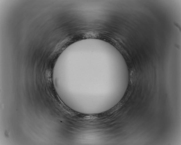 X0000103950714200809191211
