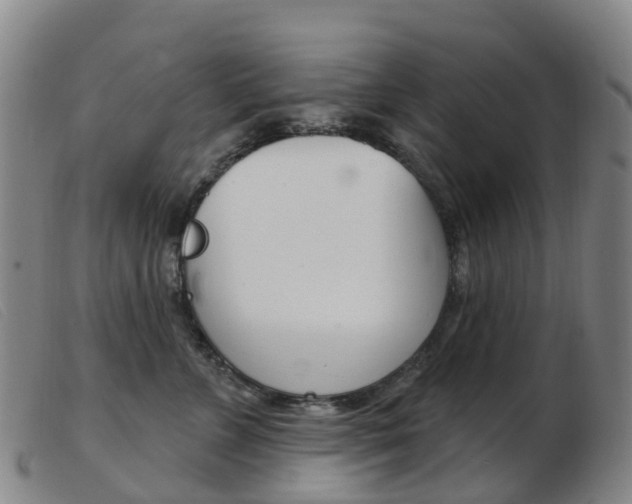 X0000103950715200809191211