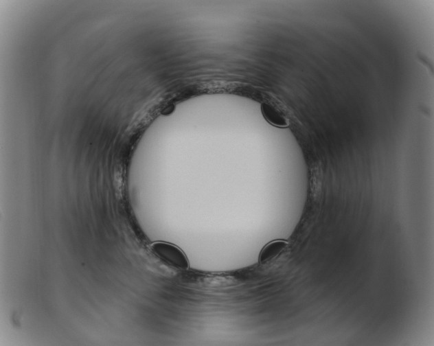 X0000103950716200809191211