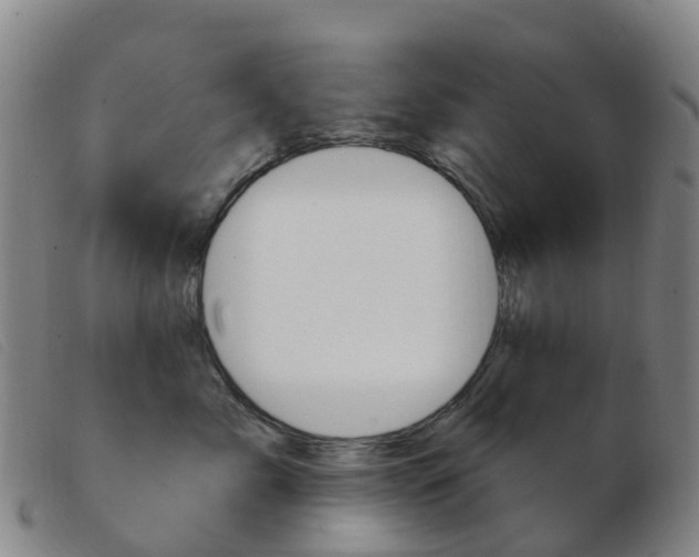 X0000103950717200809191211