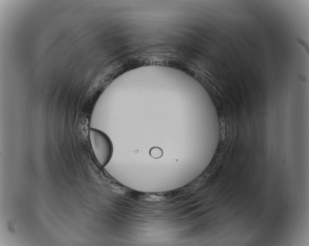 X0000103950718200809191211