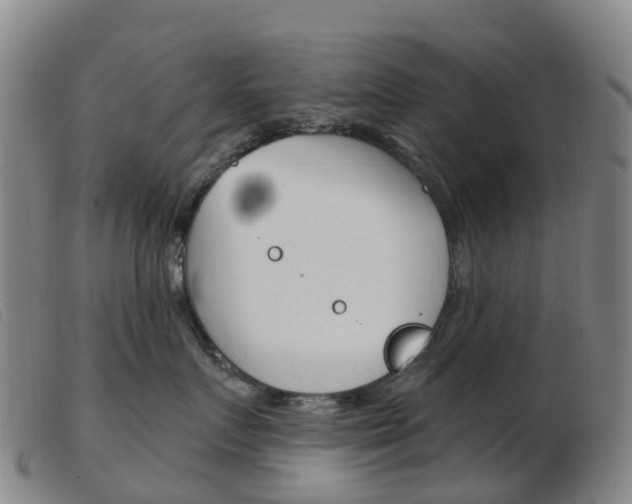 X0000103950719200809191211