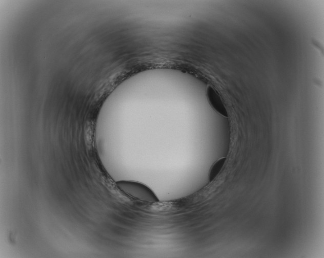 X0000103950720200809191211