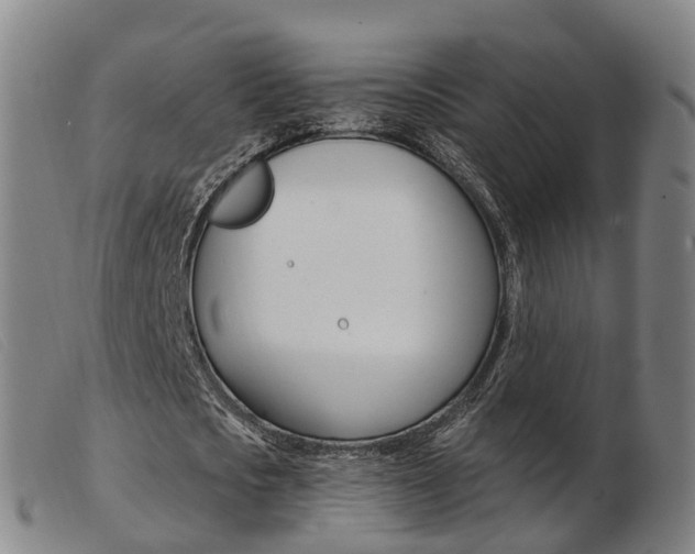 X0000103950721200809191210