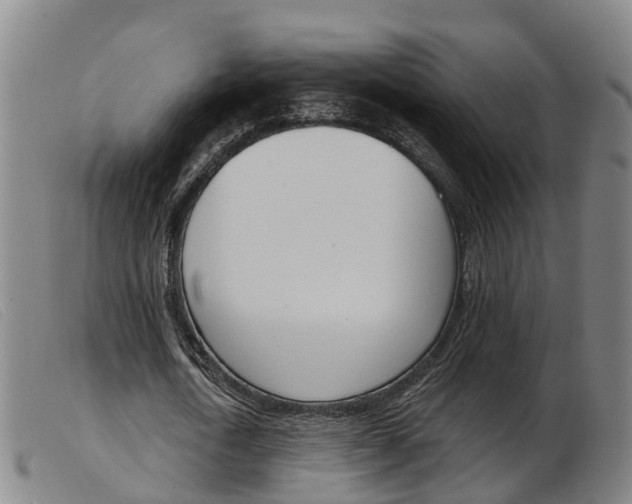 X0000103950722200809191210