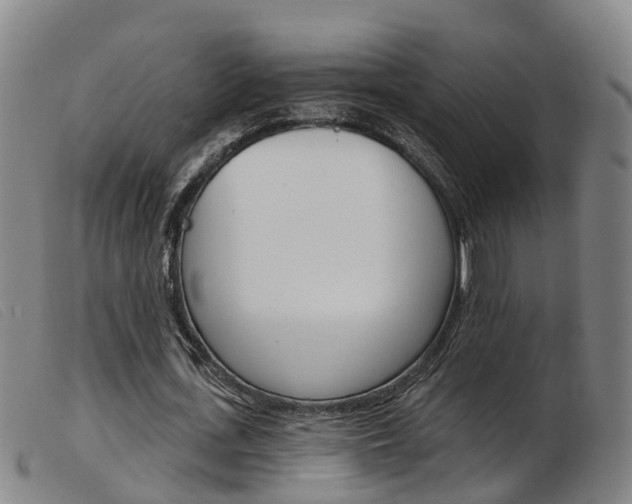 X0000103950723200809191210