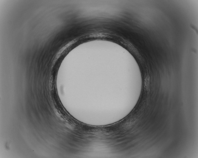 X0000103950724200809191210