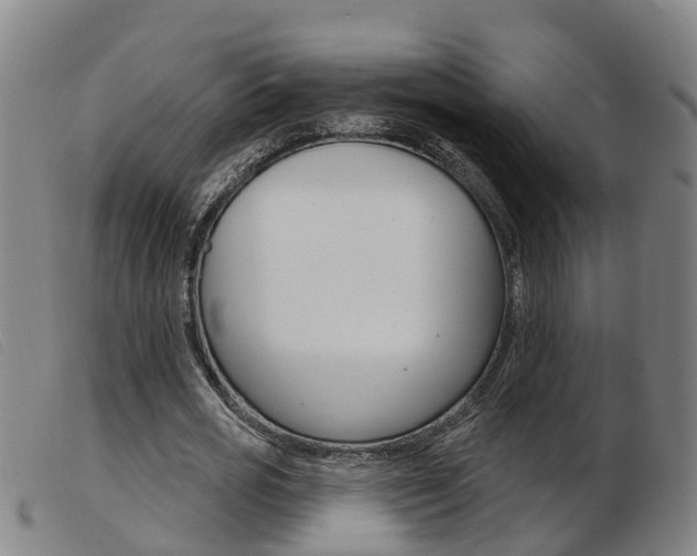 X0000103950725200809191210