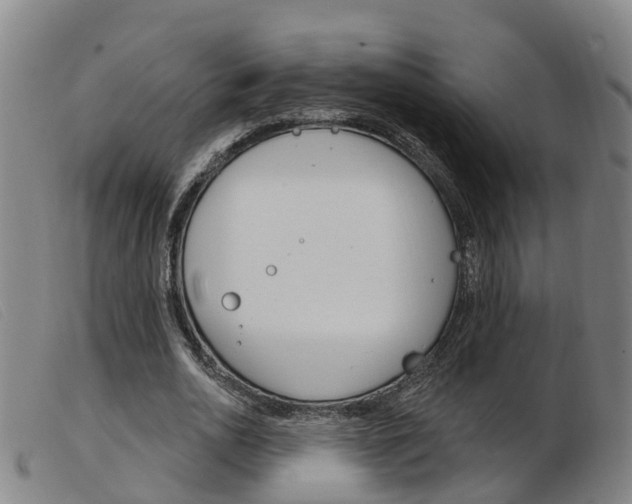 X0000103950726200809191210