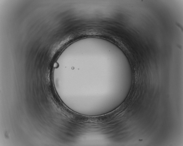 X0000103950727200809191210