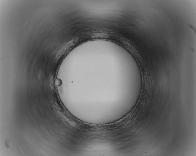 X0000103950729200809191210