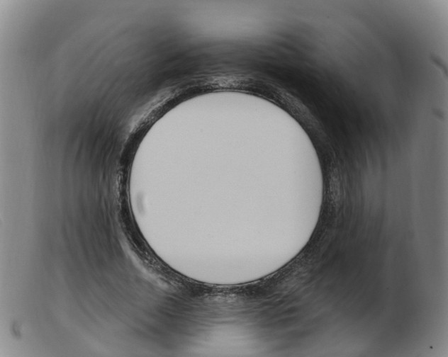 X0000103950730200809191210