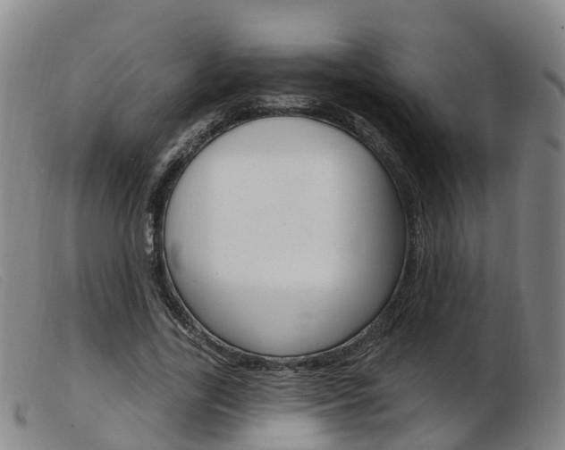 X0000103950731200809191210