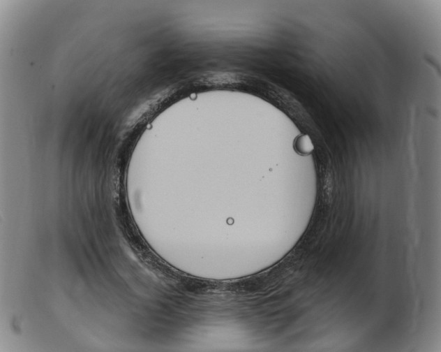 X0000103950732200809191210