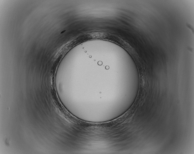X0000103950733200809191210