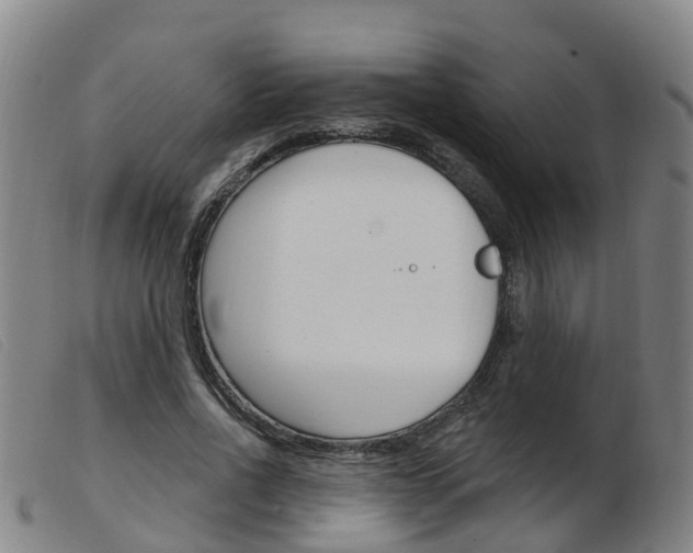 X0000103950734200809191210