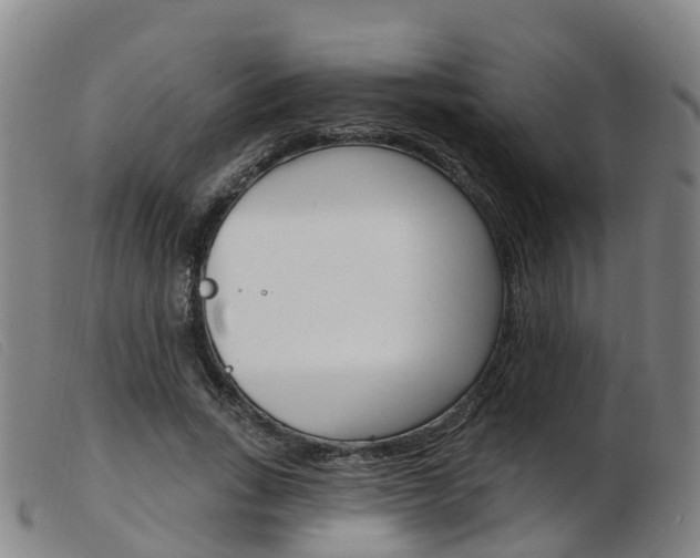 X0000103950735200809191210