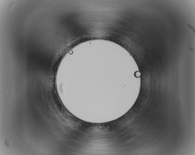 X0000103950736200809191210