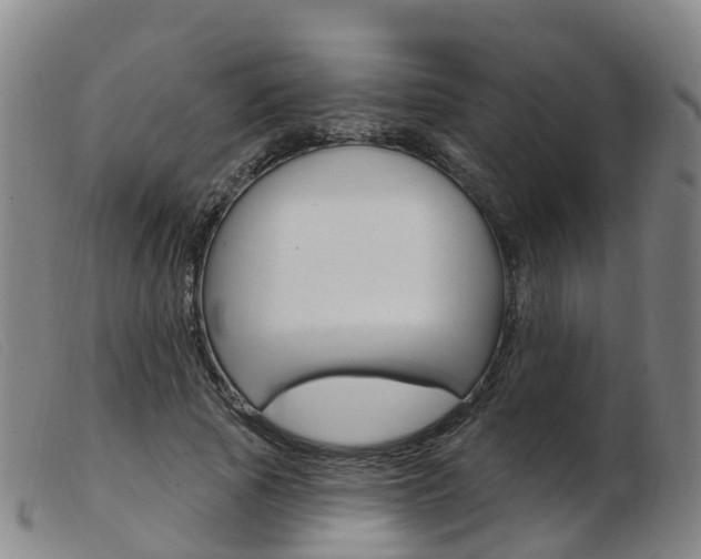 X0000103950737200809191210