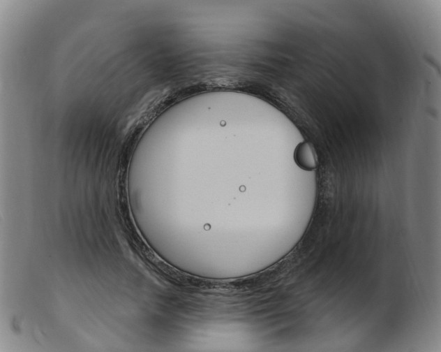 X0000103950738200809191210