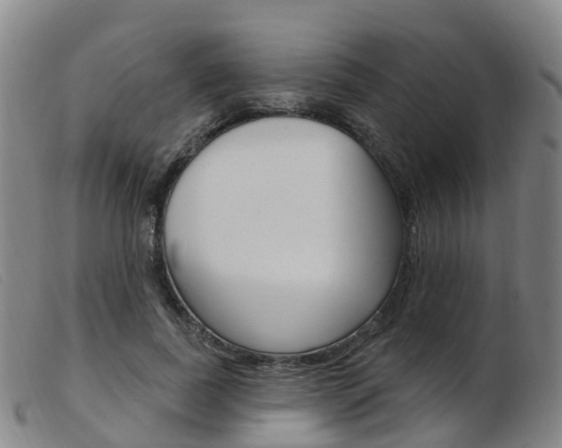 X0000103950739200809191210
