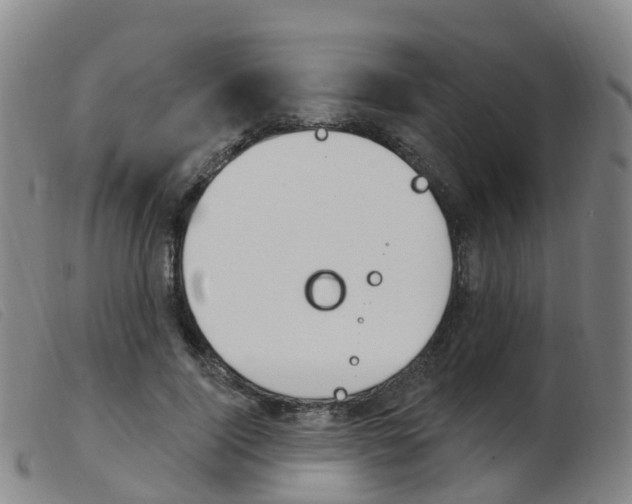 X0000103950740200809191210