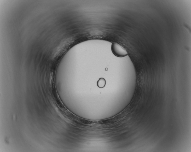 X0000103950742200809191210