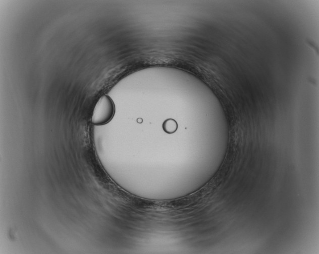 X0000103950743200809191210