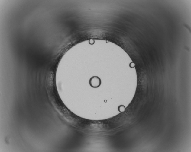 X0000103950744200809191210