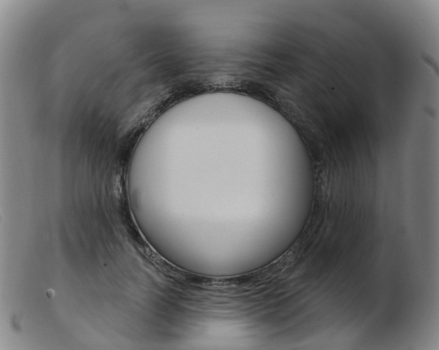 X0000103950746200809191210