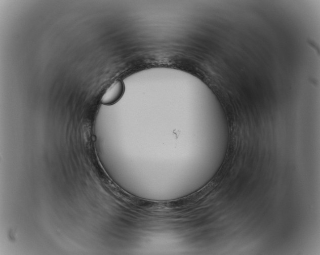 X0000103950747200809191210