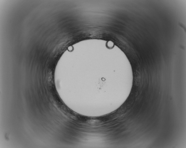 X0000103950748200809191210