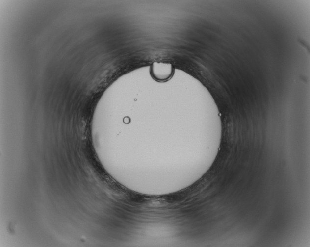 X0000103950750200809191210