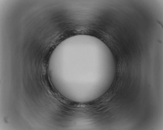 X0000103950751200809191210