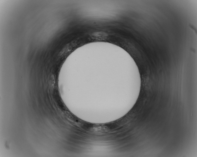 X0000103950752200809191210