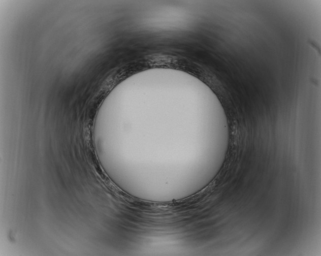 X0000103950753200809191210