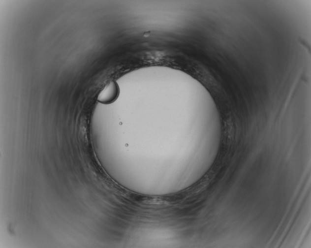 X0000103950754200809191210