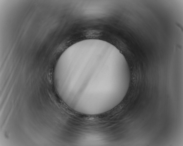 X0000103950755200809191210