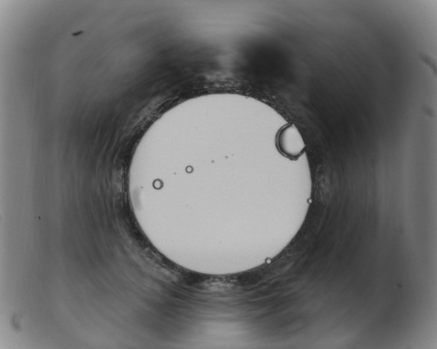 X0000103950756200809191210