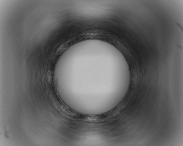 X0000103950758200809191210